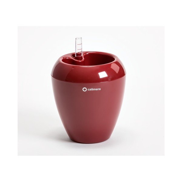 Rdeč samozalivalni lonec Plastia Calimera Camay, ø 17 cm-image-2