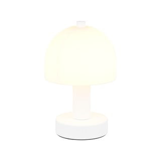 Bela namizna svetilka s steklenim senčilom (višina 19 cm) Glenn – Trio