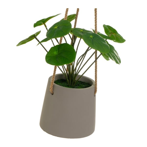 Umetna rastlina (višina 24 cm) Pilea – Casa Selección-image-2