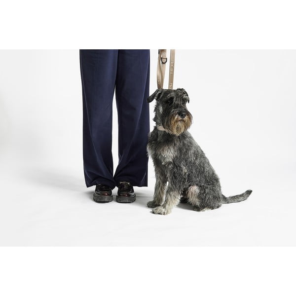 Bež ovratnica velikosti M/L dolžina 35 cm Modena Greige M/ML – MiaCara-image-2