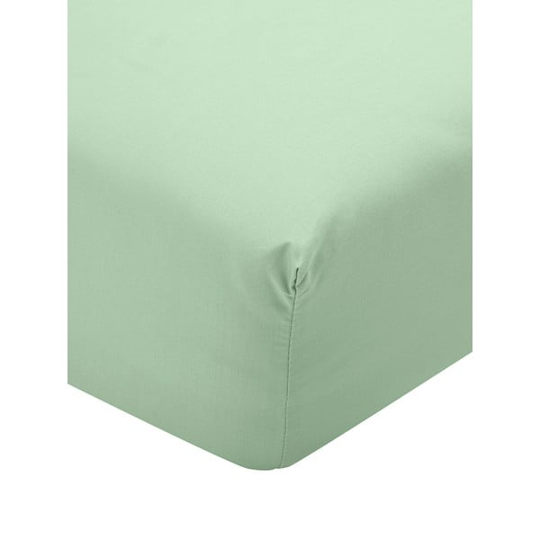 Zelena bombažna posteljnina iz perkala Bombaž, 160 x 200 cm