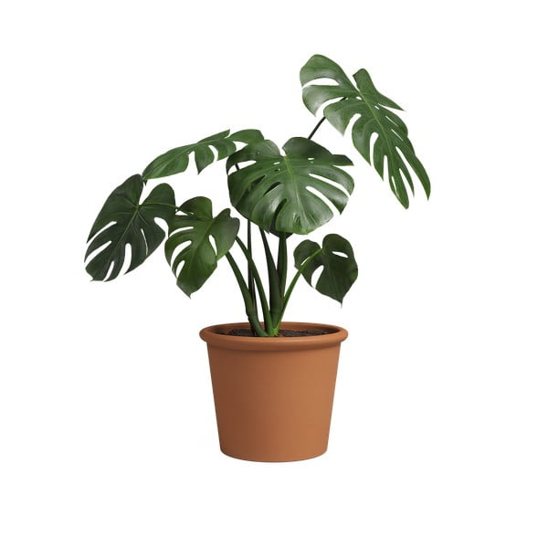 Cvetlični lonec iz terakote ø 39 cm Saramago Cilindro – Artevasi-image-3