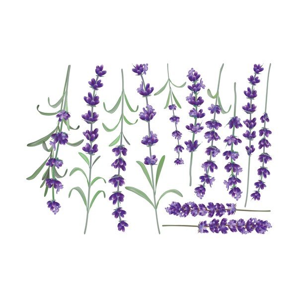 Komplet stenskih nalepk Ambiance Levanders-image-2