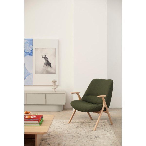 Temno zelen fotelj Dins – Teulat-image-1