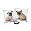 Otroška blazina 40x40 cm Bulldog – Jerry Fabrics