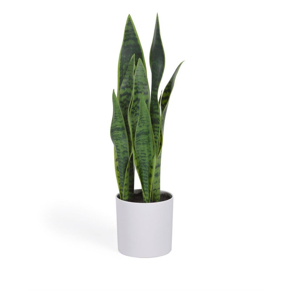 Umetna rastlina (višina 55 cm) Sansevieria