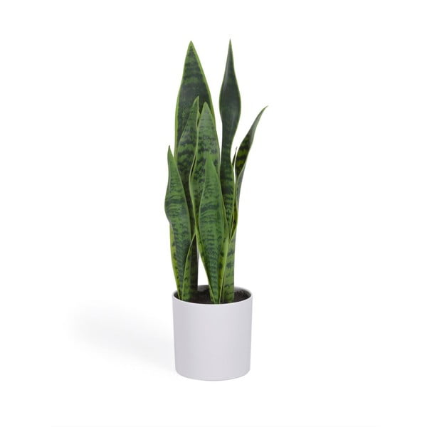 Umetna rastlina (višina 55 cm) Sansevieria – Kave Home