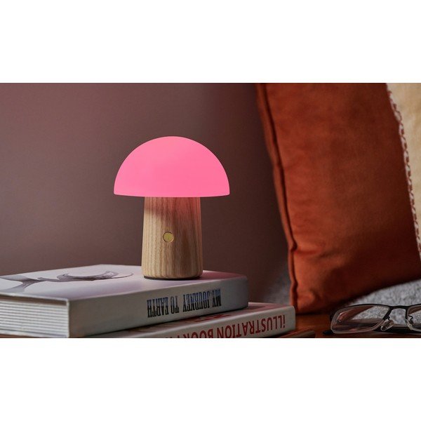 Namizna svetilka z možnostjo zatemnitve s steklenim senčnikom (višina 13 cm) Alice - Gingko-image-4