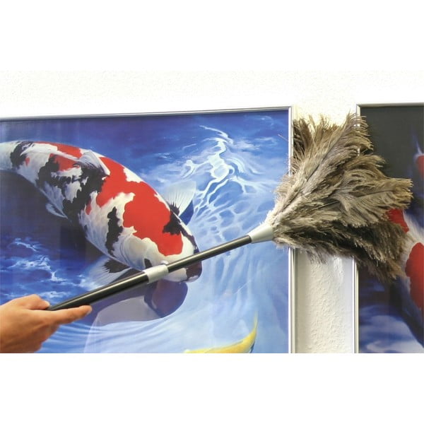 Omelo iz nojevih peres - Maximex-image-3