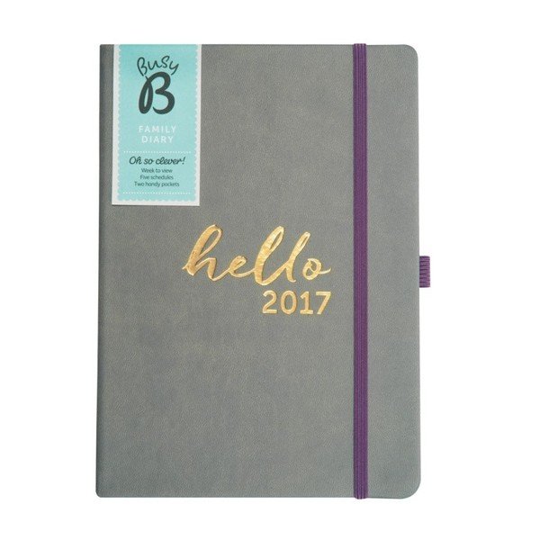 Družina Busy B 2017 družinski načrtovalnik-image-4