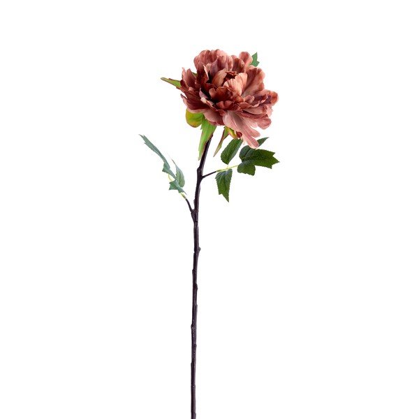 Umetna rastlina (višina 65 cm) Peonia – Light & Living