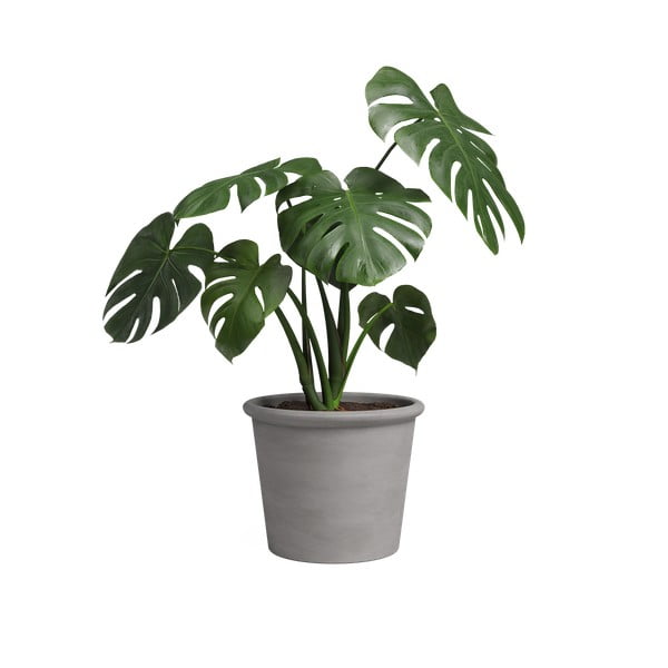 Cvetlični lonec iz terakote ø 18 cm Saramago Cilindro – Artevasi-image-1