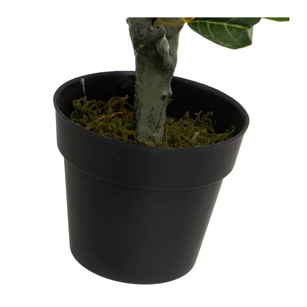 Umetna oljka – Casa Selección-image-3