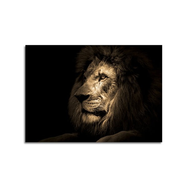 Steklena slika Styler Lion, 70 x 100 cm