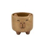 Ročno poslikan okrasni cvetlični lonec iz kamenine ø 7,5 cm Mojave Capybara – Sass & Belle