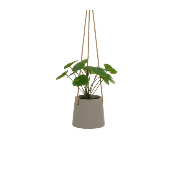 Umetna rastlina (višina 24 cm) Pilea – Casa Selección-image-1