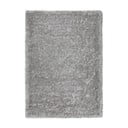 Siva preproga Universal Aloe Liso, 200 x 290 cm