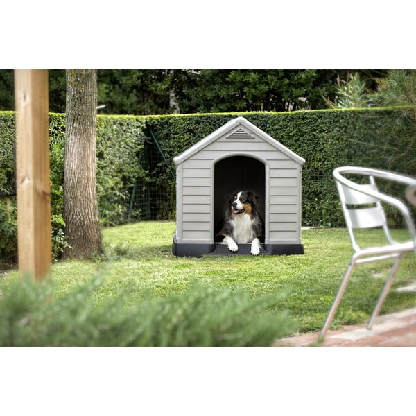 Siv boks za pse 95x99 cm – Curver-image-2