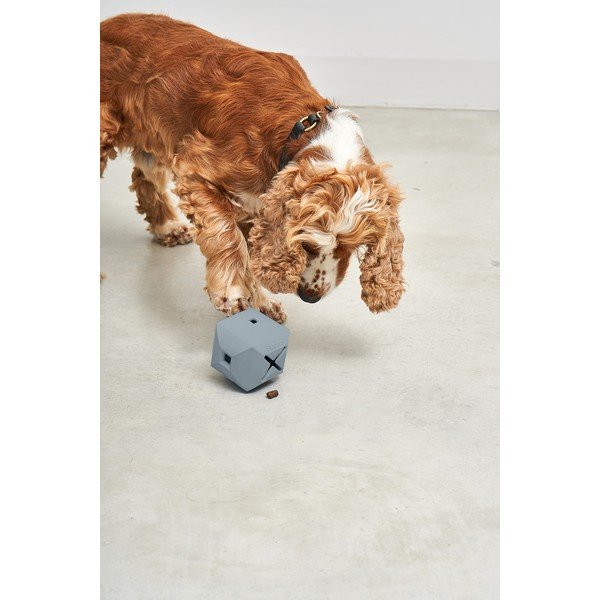 Igrača za pse Dado Sky – MiaCara-image-3