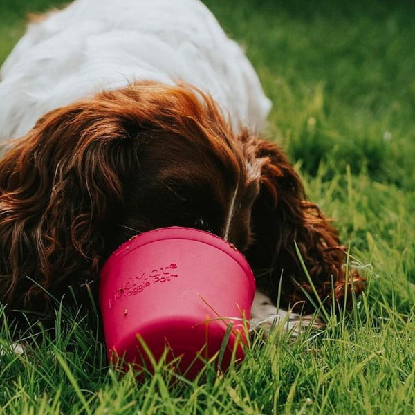 Posoda za lizanje Yoggie Pot Pink – LickiMat-image-1