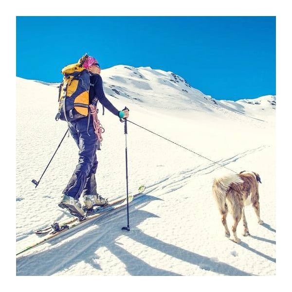 Moder povodec velikosti M 3 Bungee – Lishinu-image-3