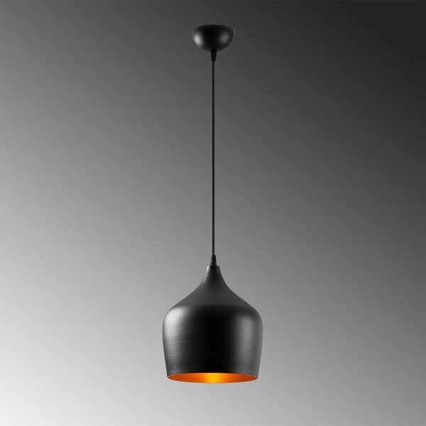 Črna viseča svetilka s kovinskim senčilom ø 22 cm Dodo – Opviq lights-image-3