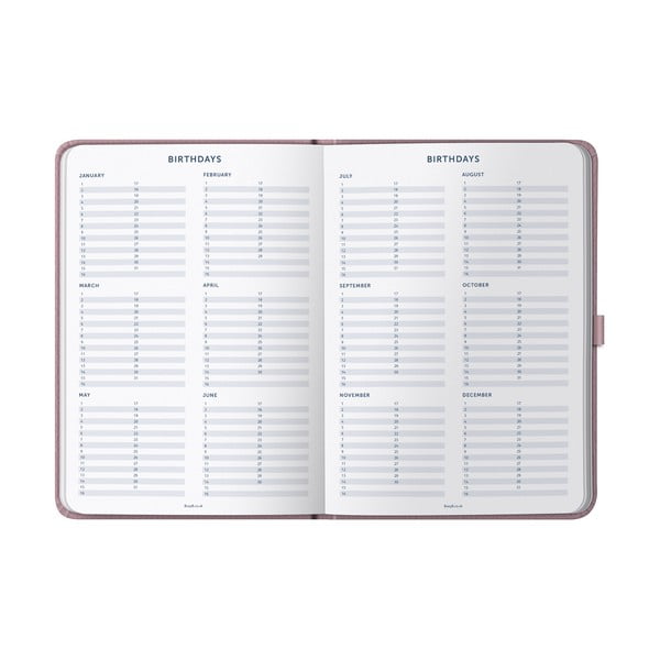 Dvojni dnevnik - Busy B-image-3