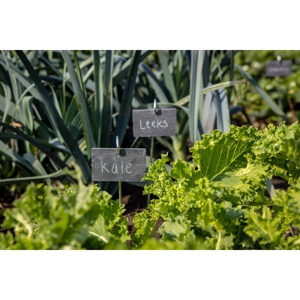 Tabla iz skrilavca Esschert Design-image-1