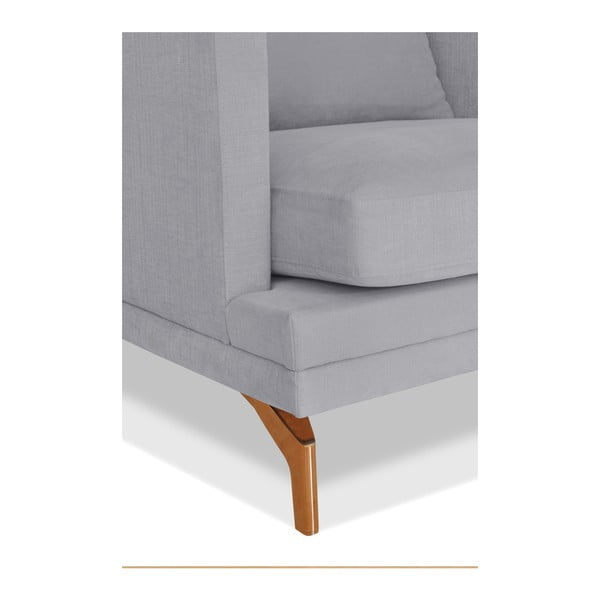 Sivi fotelj Windsor & Co. Zofe Jupiter-image-3