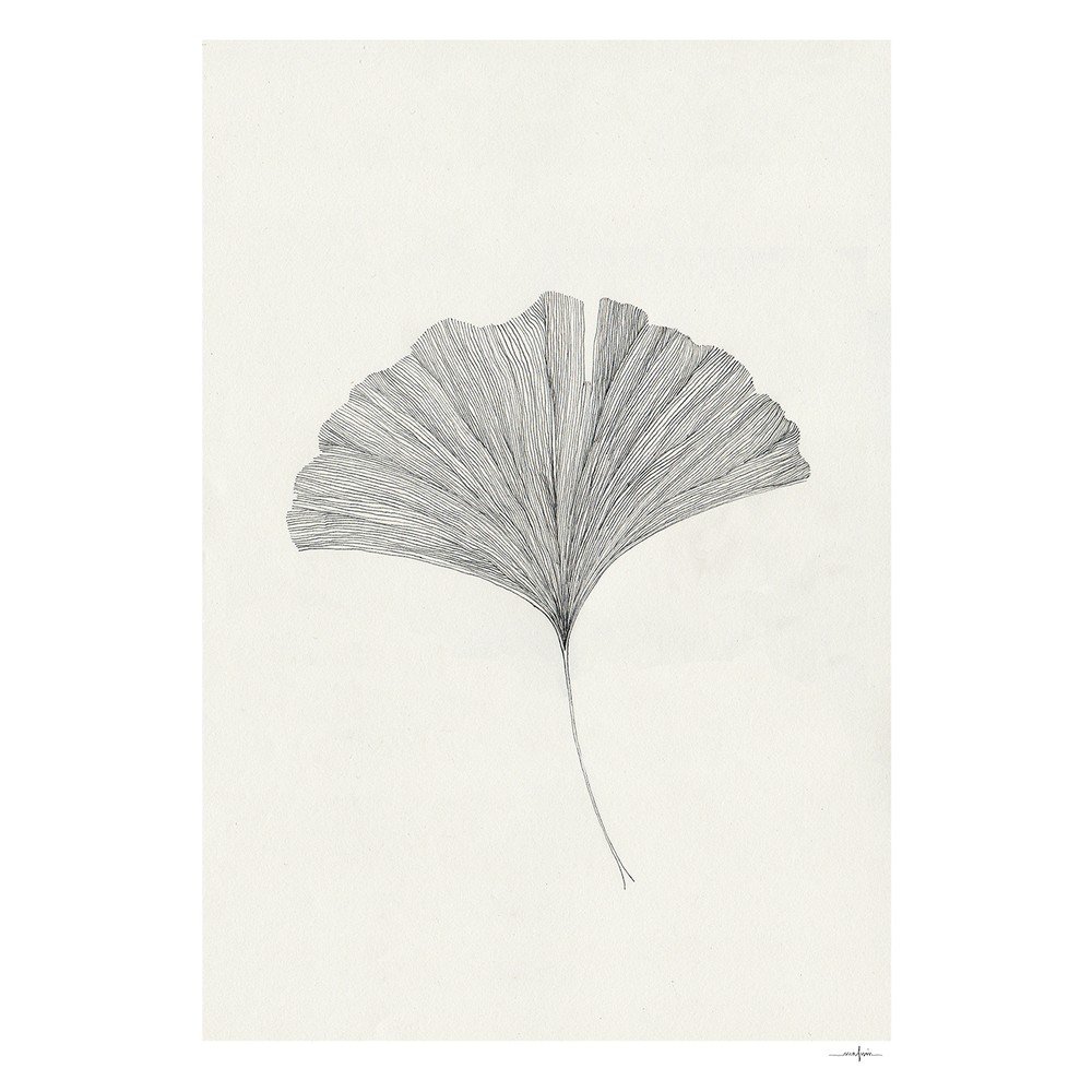 Plakat 50x70 cm Ginkgo Leaf – Ana Frois