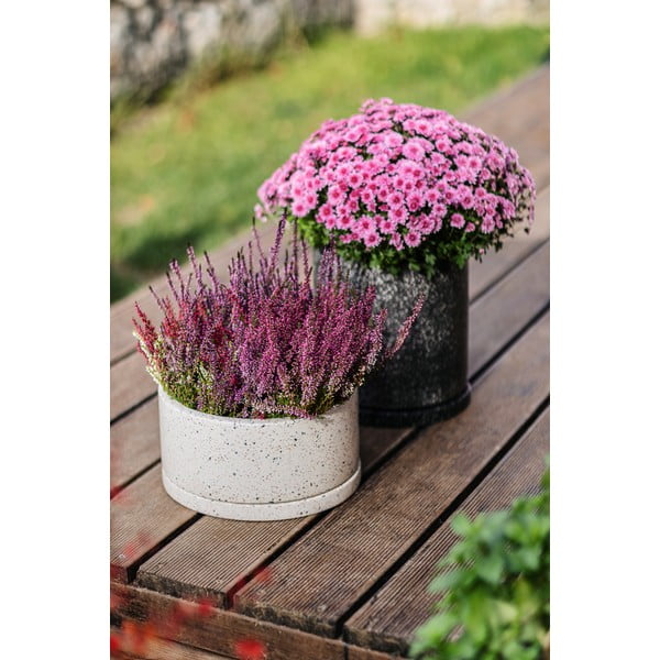 Temno siv cvetlični lonček Bonami Selection Terrazzo, ø 34 cm-image-1