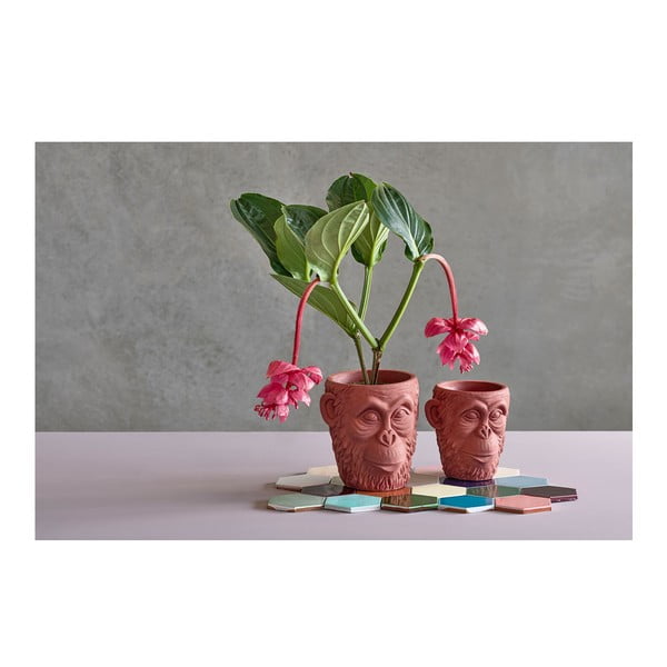 Betonski okrasni cvetlični lonec ø 22 cm Calbe – Villa Collection-image-3