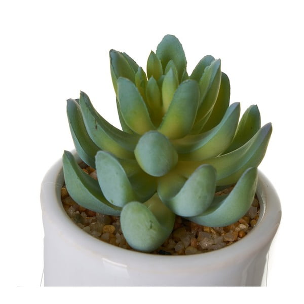 Umetne rastline v kompletu 4 ks Cactus – Casa Selección-image-2