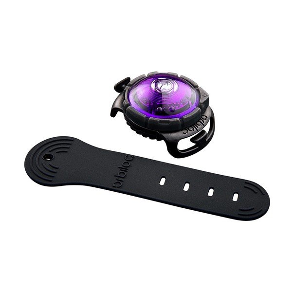 LED lučka za ovratnico Purple - Orbiloc-image-1