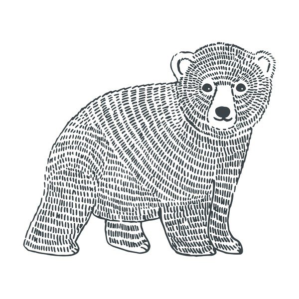 Otroška nalepka 47x40 cm Bear – Lilipinso