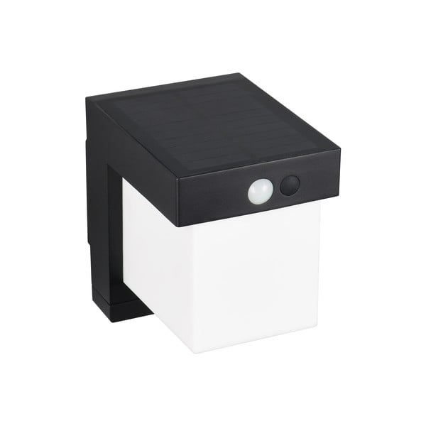 LED stenska zunanja svetilka s solarnim panelom (višina 14 cm) Colombo – Reality