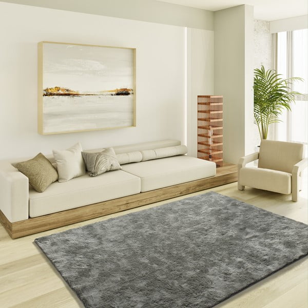 Antracitno siva preproga 80x150 cm Roma – Universal-image-1