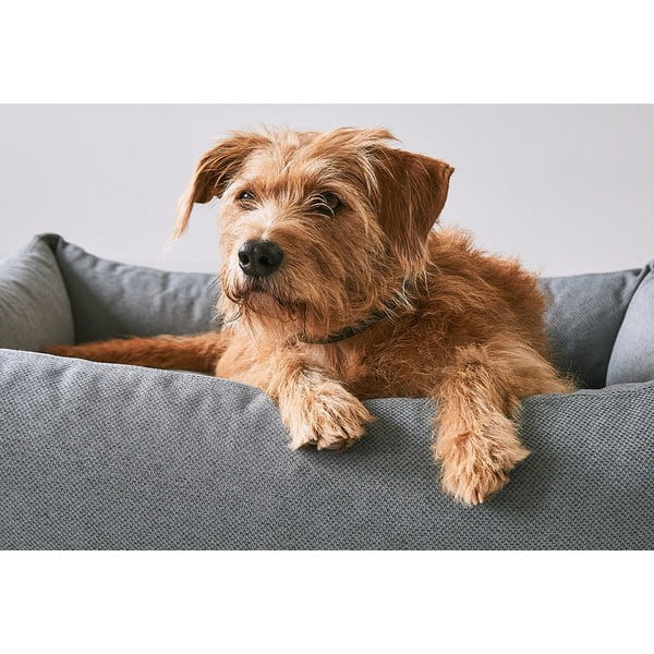 Rjava podloga za pse 93x120 cm Mare Kelp L – MiaCara-image-2