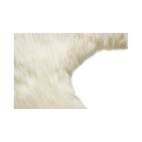 Bel stol z imitacijo ovčje kože DAN-FORM Denmark Flair-image-2