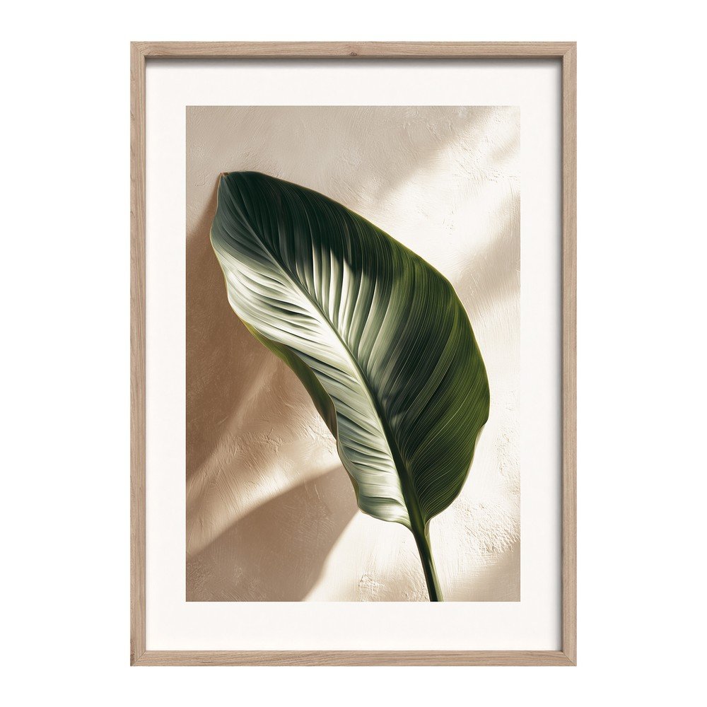 Tiskana slika z okvirjem 50x70 cm Strelizia Leaf