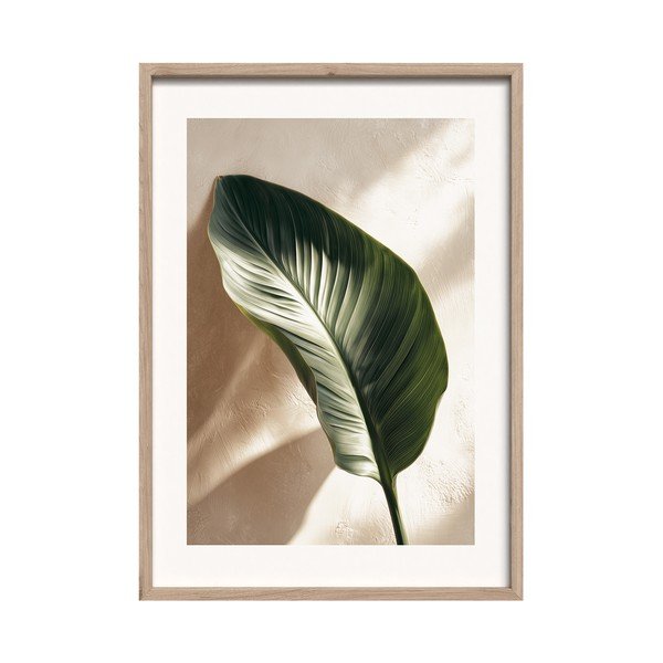 Tiskana slika z okvirjem 50x70 cm Strelizia Leaf – Styler