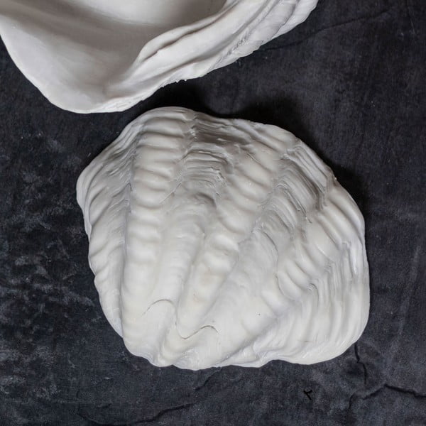 Okrasna skleda iz poliresina 24x19 cm Shell – Mette Ditmer Denmark-image-2