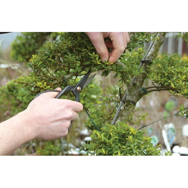 Jeklene škarje za bonsaj Esschert Design Garden-image-3