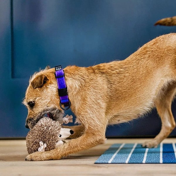 Pasja igrača Ježek – P.L.A.Y.-image-2