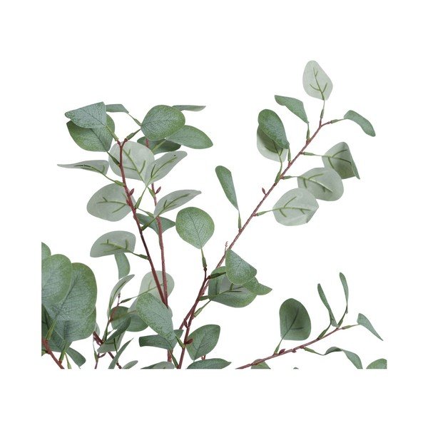 Umetni evkaliptus (višina 180 cm) Eucalyptus – Ixia-image-2