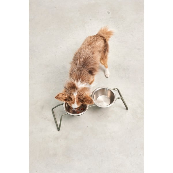 Komplet posod s podstavkom za pse iz nerjavečega jekla Cena Grollive M – MiaCara-image-2