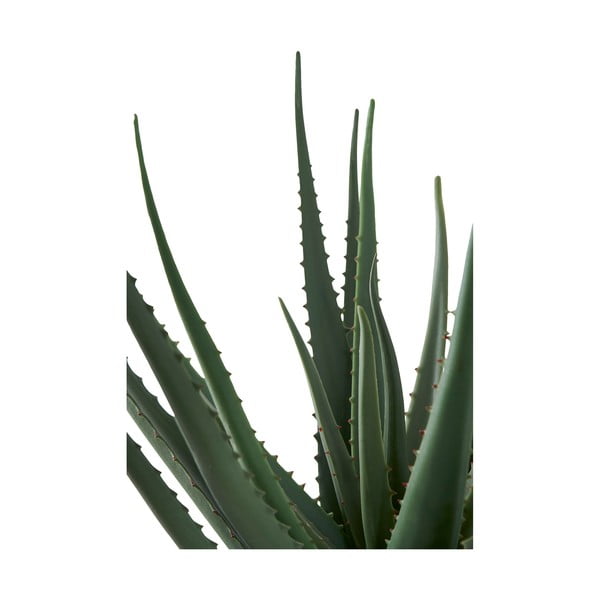 Umetna rastlina (višina 51 cm) Aloe Vera – House Nordic-image-3