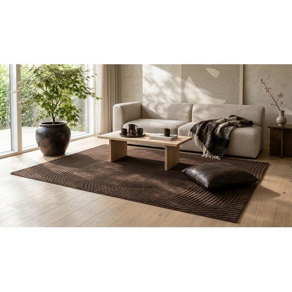 Rjava preproga 120x170 cm Zephyr – ESTE-image-4