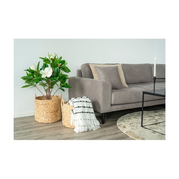 Košare iz vodne hijacinte v kompletu 2 ks ø 35x37 cm Passo – House Nordic-image-1