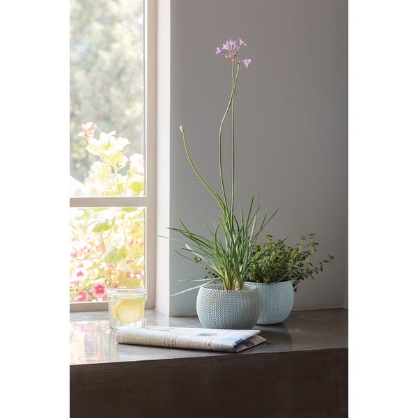 Plastični cvetlični lonci v kompletu 3 ks ø 15 cm Cozy – Keter-image-3